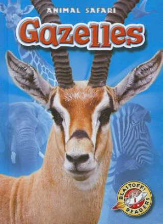 Buch Gazelles Megan Borgert-Spaniol