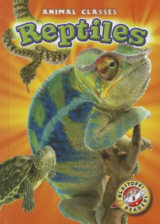 Kniha Reptiles Kari Schuetz