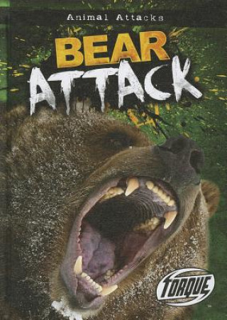 Buch Bear Attack Lisa Owings