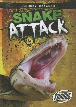 Książka Snake Attack Lisa Owings
