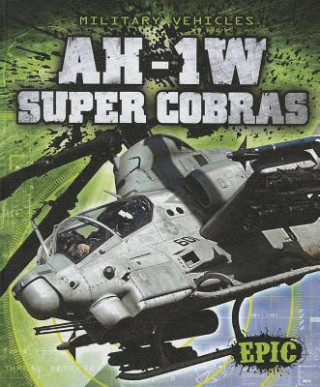 Libro AH-1W Super Cobras Denny Von Finn