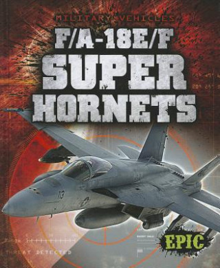 Carte F/A-18E/F Super Hornets Denny Von Finn