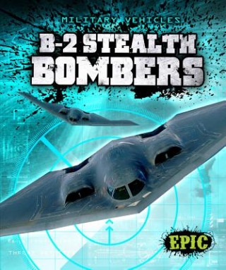 Könyv B-2 Stealth Bombers Denny Von Finn