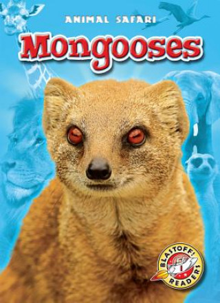 Knjiga Mongooses Megan Borgert-Spaniol