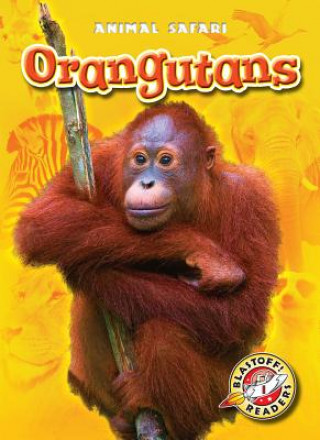 Book Orangutans Megan Borgert-Spaniol