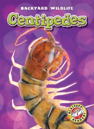 Kniha Centipedes Margo Gates