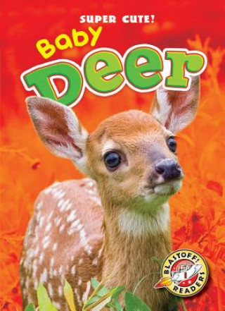 Kniha Baby Deer Bethany Olson