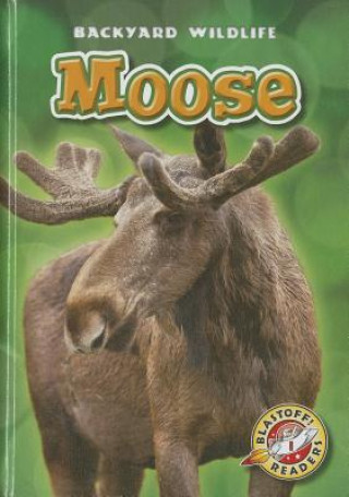 Knjiga Moose Kristin Schuetz