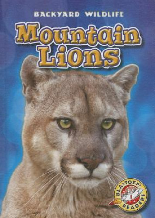 Βιβλίο Mountain Lions Kristin Schuetz