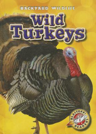 Kniha Wild Turkeys Kristin Schuetz