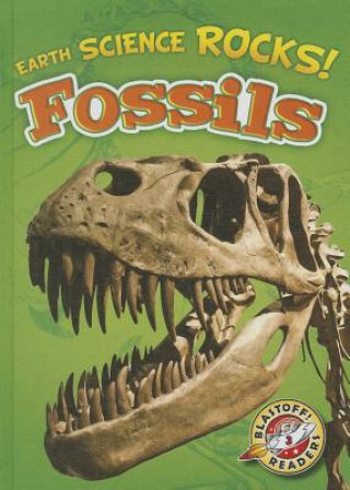 Buch Fossils Chris Bowman