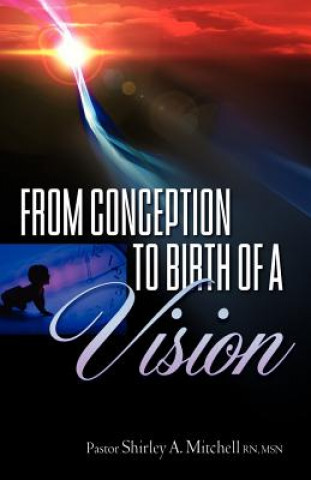 Livre From Conception to Birth of a Vision Shirley A. Mitchell