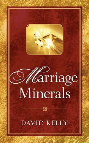 Kniha Marriage Minerals I David Kelly