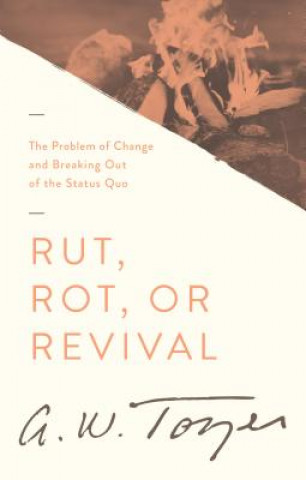 Könyv Rut, Rot or Revival: The Problem of Change and Breaking Out of the Status Quo James L. Snyder