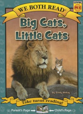 Könyv Big Cats, Little Cats Sindy McKay
