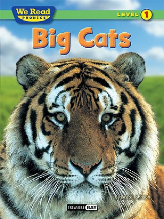 Carte Big Cats Bruce Johnson