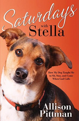 Buch Saturdays with Stella: How My Dog Taught Me to Sit, Stay, and Come When God Calls Allison Pittman