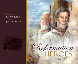 Buch Reformation Heroes D. M. Kleyn