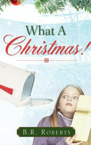 Könyv What a Christmas! B. R. Roberts