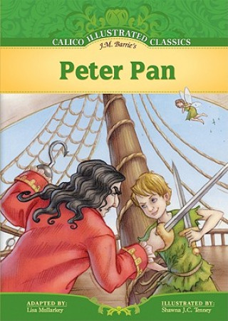 Knjiga Peter Pan Lisa Mullarkey