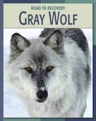 Carte Gray Wolf Barbara A. Somervill