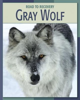 Knjiga Gray Wolf Barbara A. Somervill