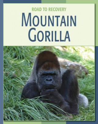 Carte Mountain Gorilla Barbara A. Somervill