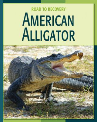 Kniha American Alligator Susan H. Gray