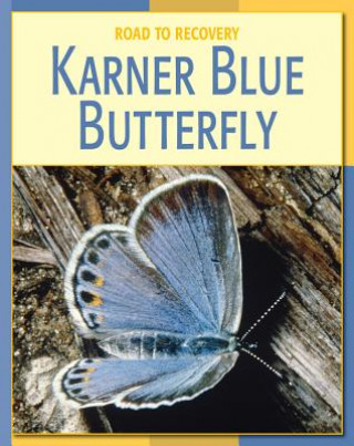 Kniha Karner Blue Butterfly Susan Heinrichs Gray