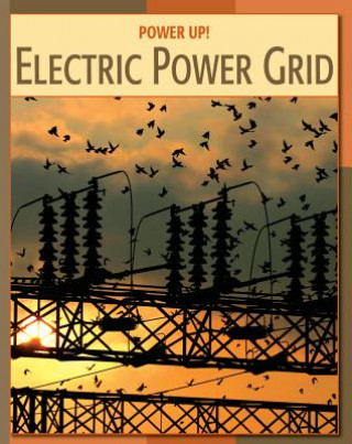 Knjiga Electric Power Grid Patricia Hynes