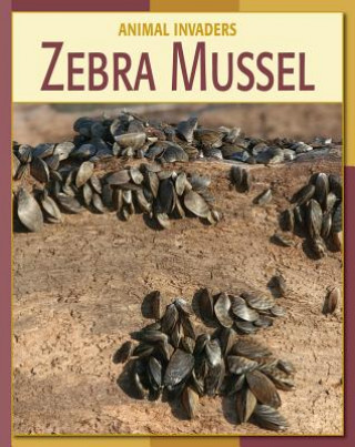 Könyv Zebra Mussel Susan Heinrichs Gray