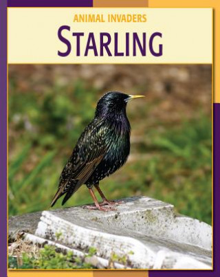 Kniha Starling Susan Heinrichs Gray