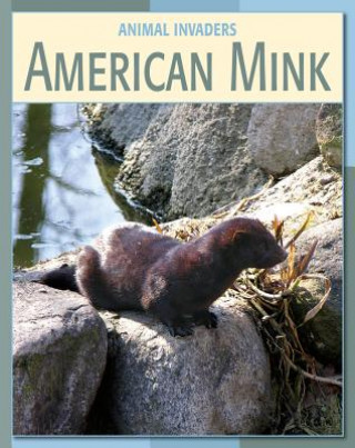 Książka American Mink Susan H. Gray