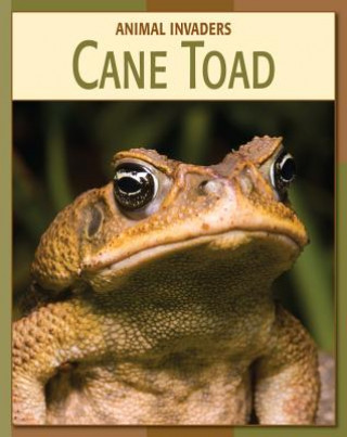 Könyv Cane Toad Barbara A. Somervill