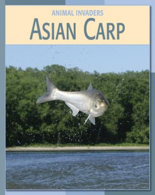 Könyv Asian Carp Barbara A. Somervill