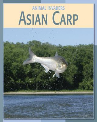 Kniha Asian Carp Barbara A. Somervill