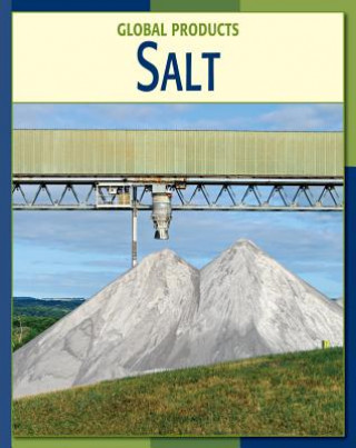 Buch Salt Nancy Robinson Masters