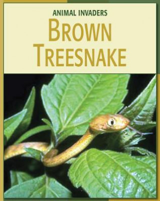Knjiga Brown Treesnake Barbara A. Somervill