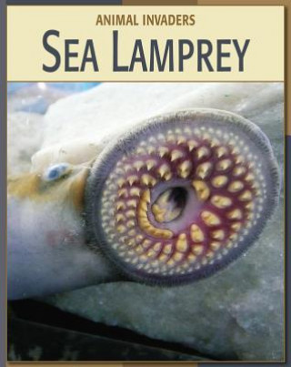 Kniha Sea Lamprey Barbara A. Somervill