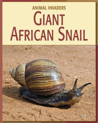 Carte Giant African Snail Susan H. Gray