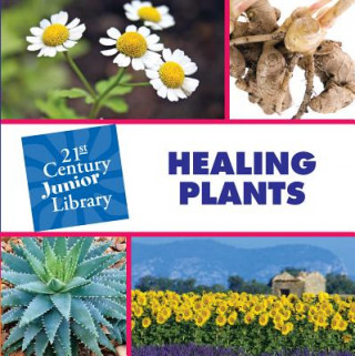 Könyv Healing Plants Pam Rosenberg