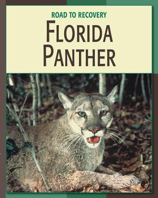 Könyv Florida Panther Barbara A. Somervill
