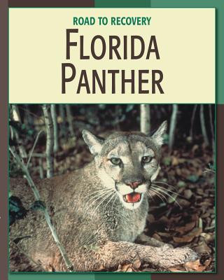 Kniha Florida Panther Barbara A. Somervill