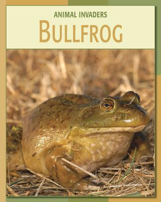 Kniha Bullfrog Susan Heinrichs Gray