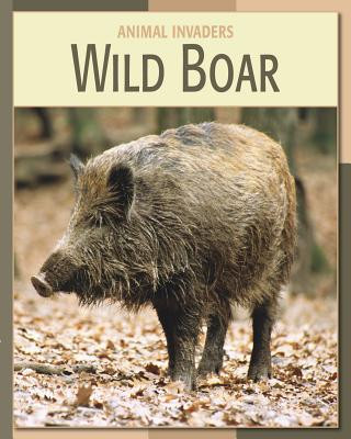 Könyv Wild Boar Barbara A. Somervill