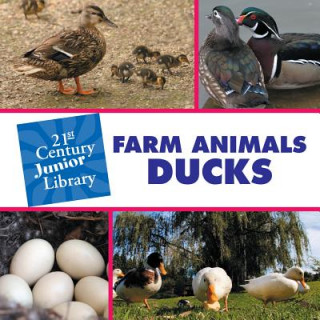 Könyv Farm Animals: Ducks Cecilia Minden