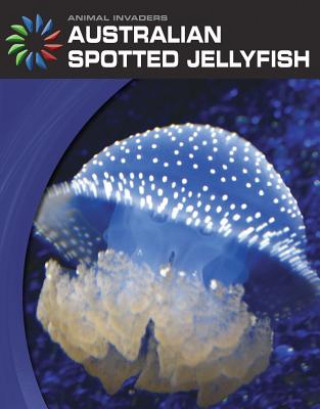 Carte Australian Spotted Jellyfish Susan Heinrichs Gray
