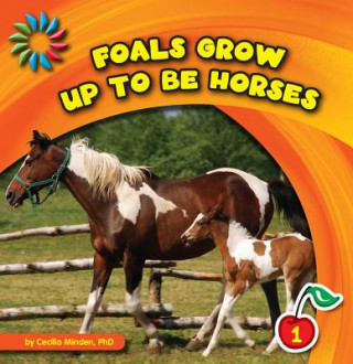 Kniha Foals Grow Up to Be Horses Cecilia Minden