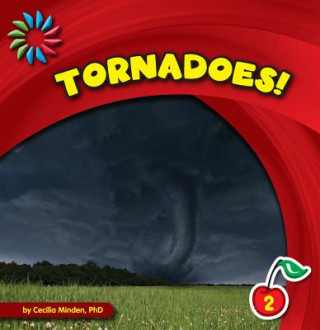 Buch Tornadoes! Cecilia Minden