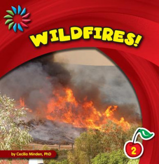 Kniha Wildfires! Cecilia Minden